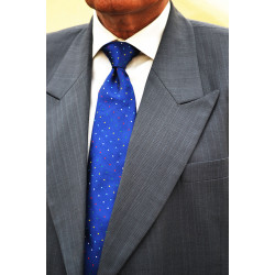  Mayo Blue Woven Silk Tie